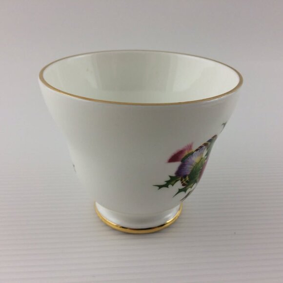 Crown Trent Vintage Scottish Thiste and Tartan Teacup and Saucer Fine Bone China - Picture 5 of 10